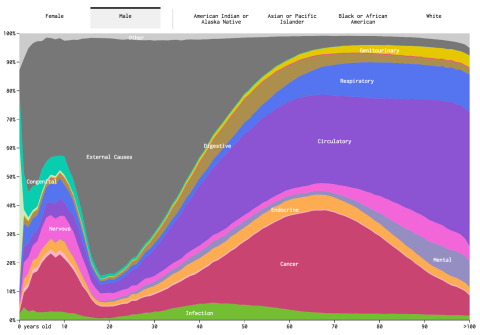 Life by weeks